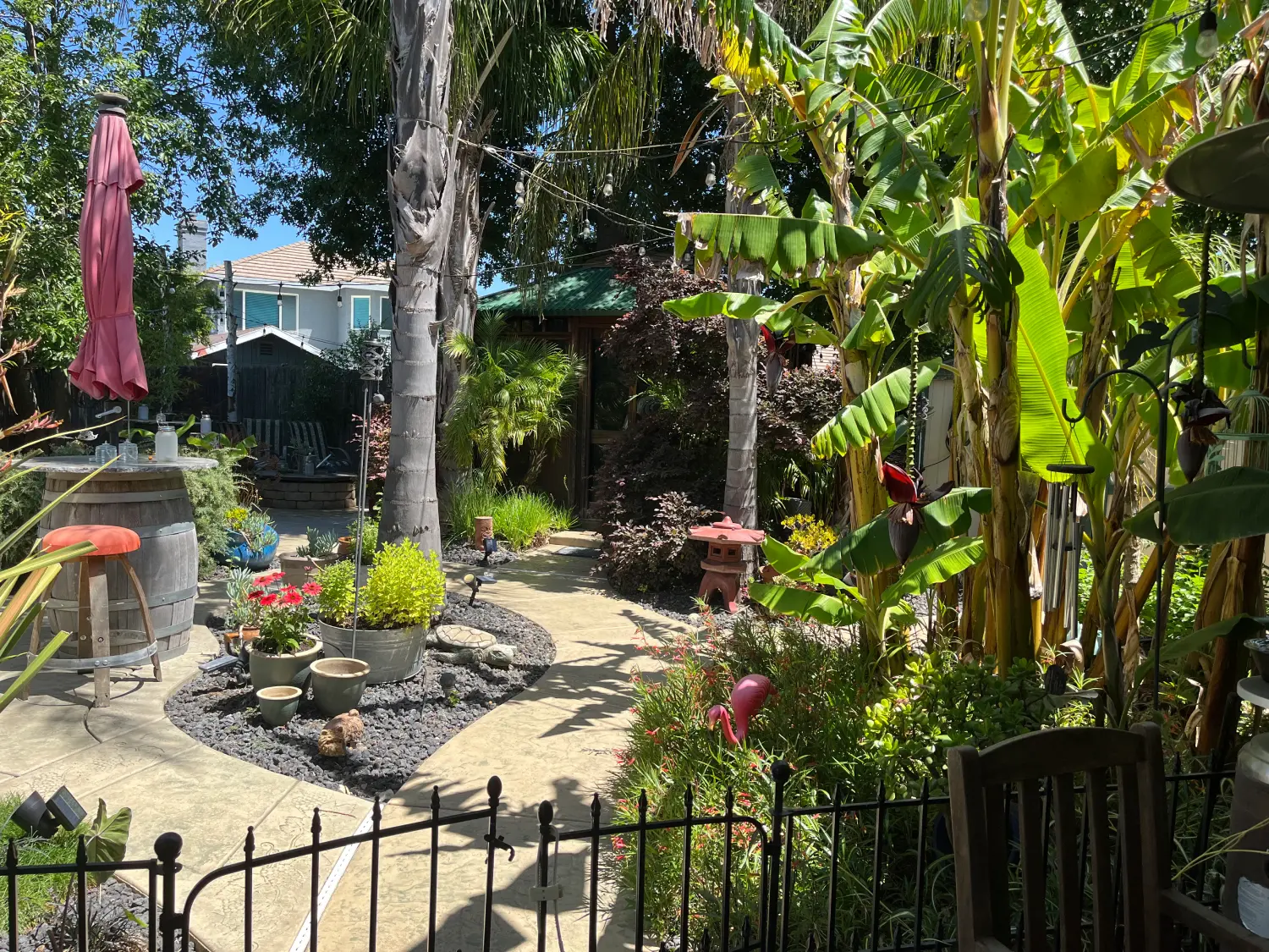 A garden with trees and plants in the background.