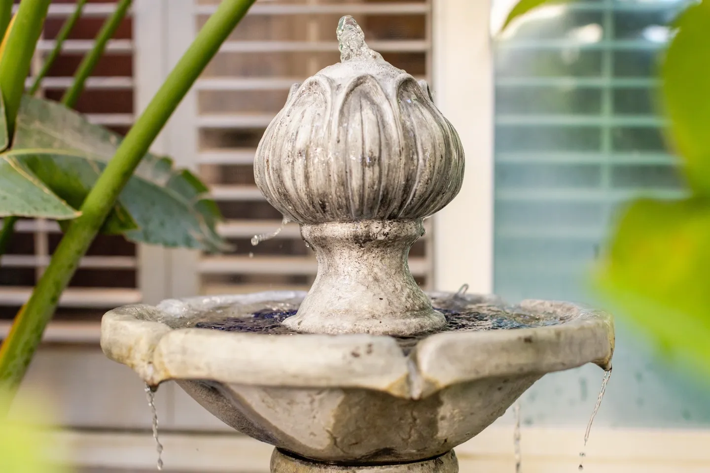 A fountain with water pouring out of it.